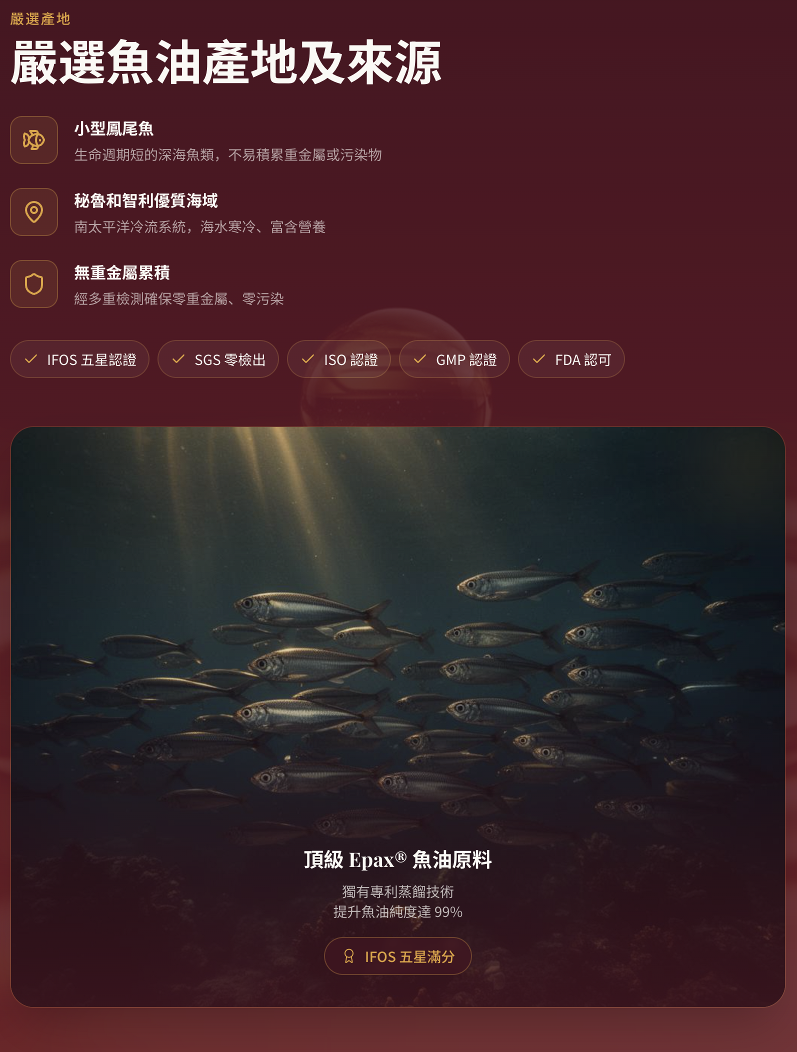 LIFE YOUNG ESHOP 限時優惠活動宣傳